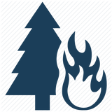 Natural Disasters icon 